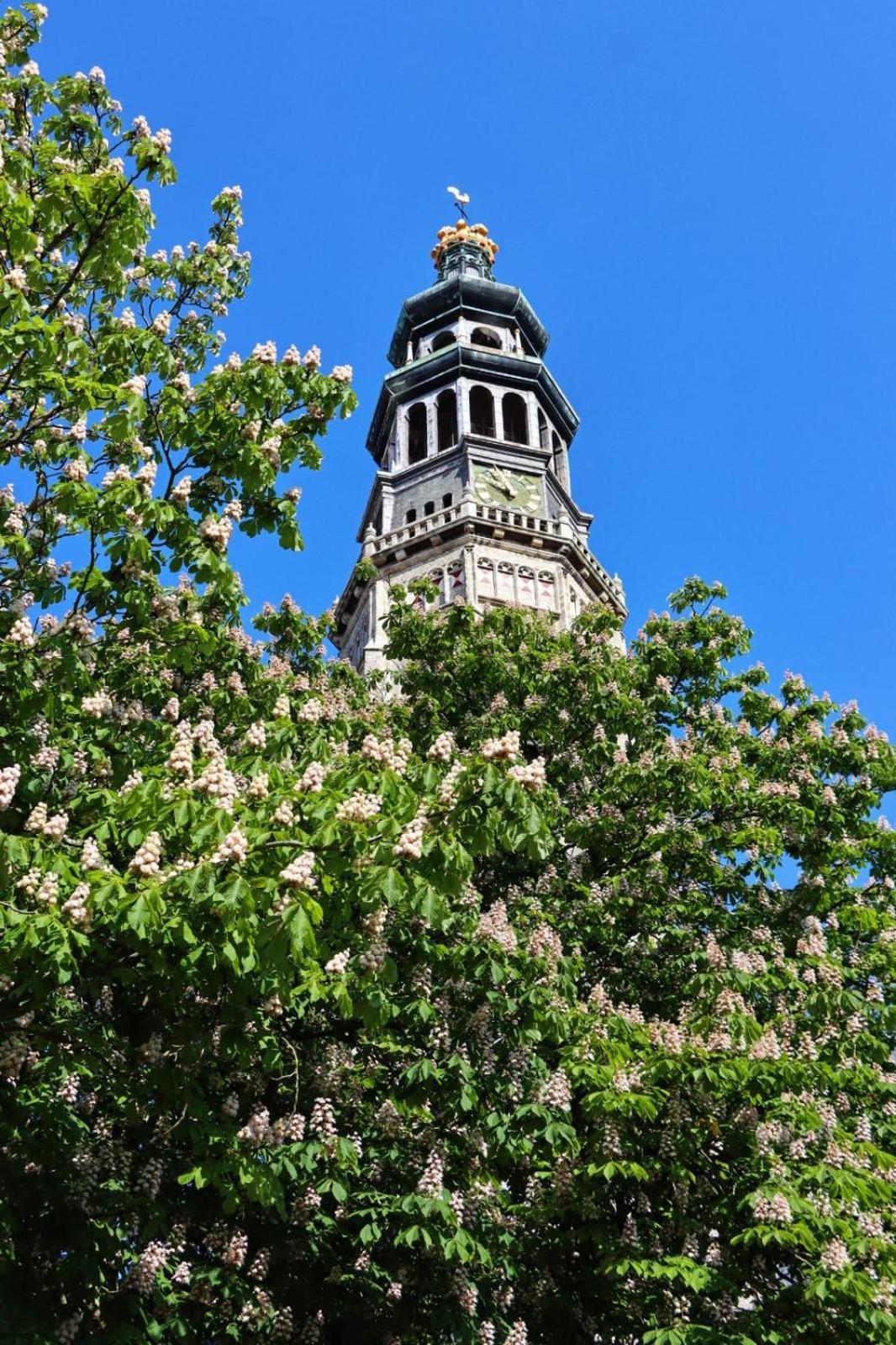 Anno 1706 Apartments Middelburg Exteriér fotografie